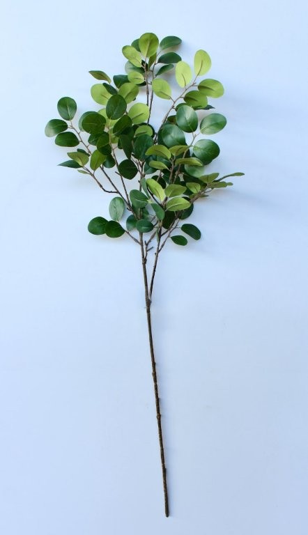 Green Leaf Stem - Min 3